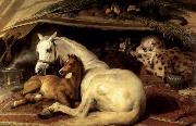 Sir Edwin Landseer The Arab Tent oil painting picture wholesale